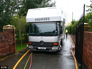 ChristopherFosterHorsebox